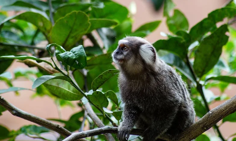 Hogyan találtam meg az erőt a hitben: Egy hűtlenség története a magyar valóságban