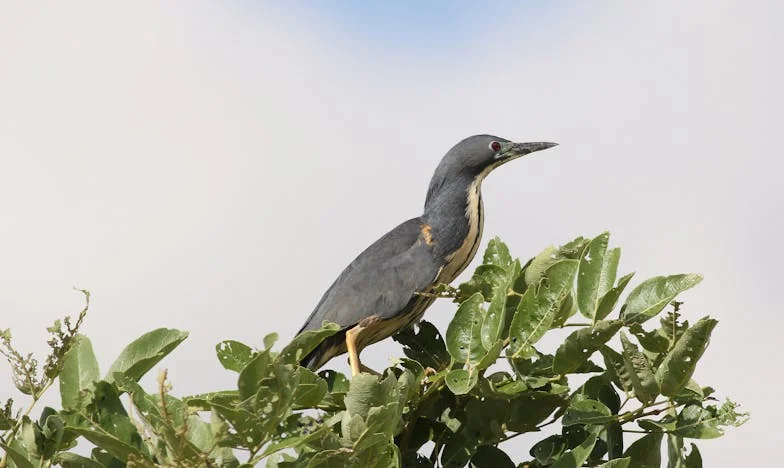 Huszonegy évesen nősültem, aztán megismertem őt – és minden megváltozott