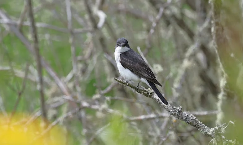 Ismeretlen üzenetek – Egy anya szíve sosem felejt