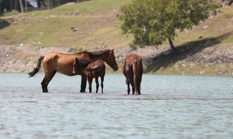Jó szándék, rossz következmények: Egy ebéd, ami mindent megváltoztatott
