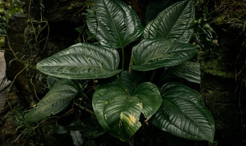 Jogaim Árnyékában – Egy magyar tinédzser története a rendőrséggel