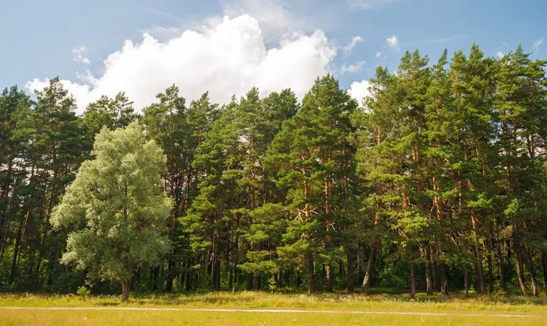 Két éjszaka és egy nap – Egy szerető vallomása