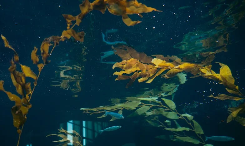 Két év csend: Amikor a lányom elfordult tőlem