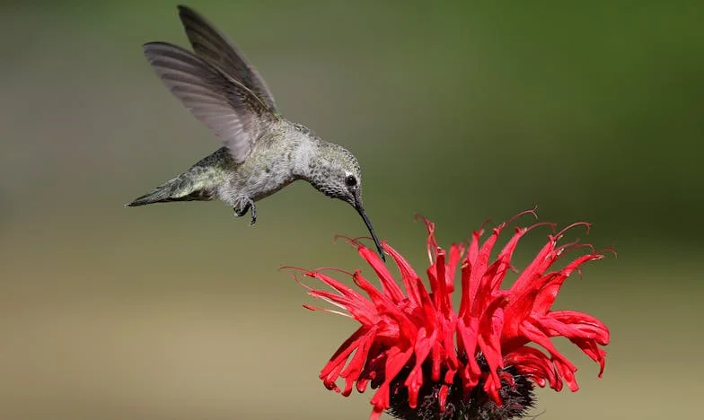 Kétszeres veszteség: Egy magyar család tragédiája és a bűntudat terhe