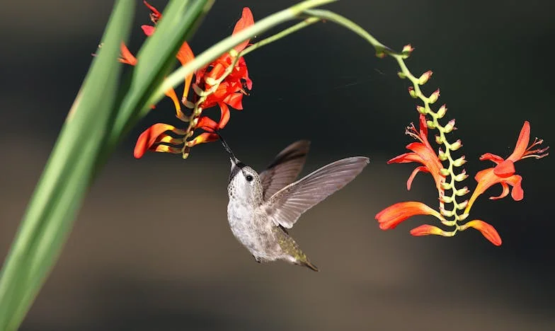 „Maradj hűséges hozzá!” – Egy özvegy küzdelme a gyász és az újrakezdés között