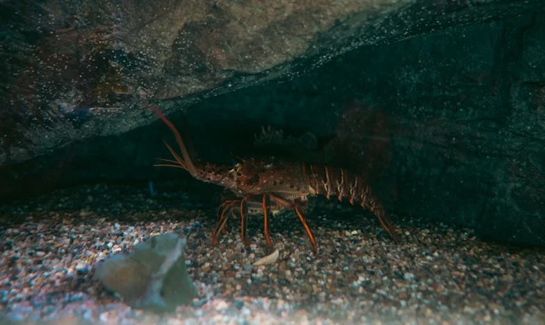 Milyen nehéz ez a pohár víz? – Egy pohár, egy élet súlya