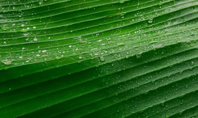 Ők lakomáznak, mi zabkását eszünk: Hol az igazság?