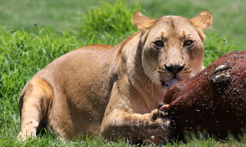 Otthon válogatós, anyjánál mindent megeszik – Egy házasság határán