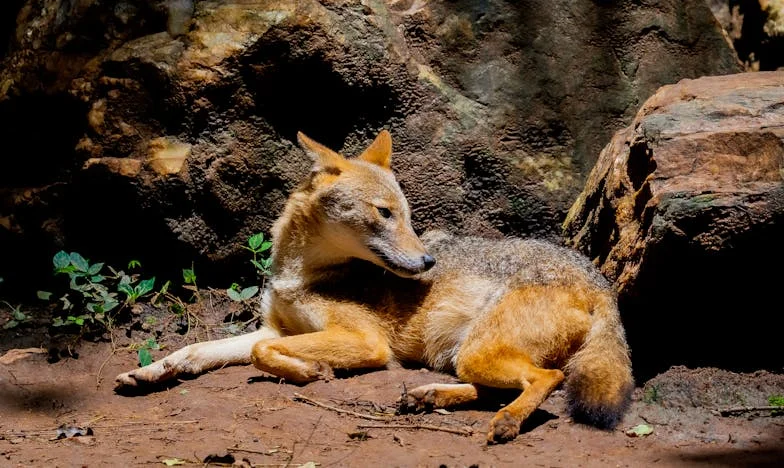 Tíz év házasság után: Nem vagyok csak a család cselédje!