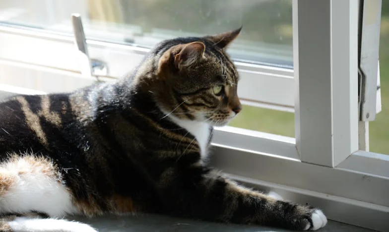 Újra együtt: Amikor az exférjem segítségre szorult, a családunk újra egymásra talált