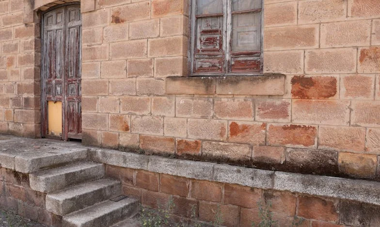 A tökéletesség házában, káoszban a szívem – Egy lány útja önmagához