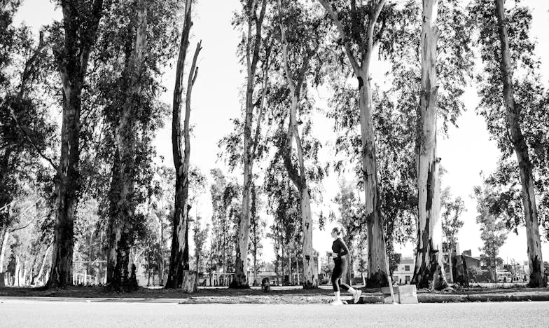 Amikor a bizalom ára túl magas: Egy családi árulás története