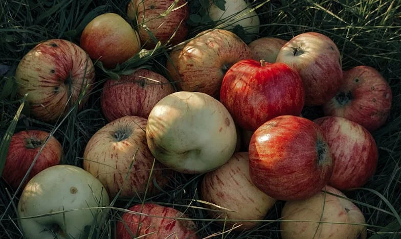 Amikor a csend hangosabb, mint a szó: Egy magyar feleség harca az egyenlőségért