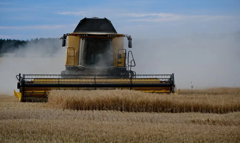 Amikor a múlt visszatér: Mária története Győrből