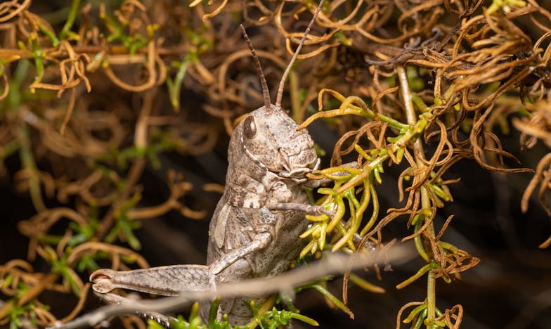Amikor a Szeretet Már Nem Elég: Márta és Jakab Története