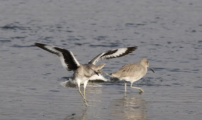 Amikor az ajándék szétzilálja a családot: Egy hűtőszekrény ára
