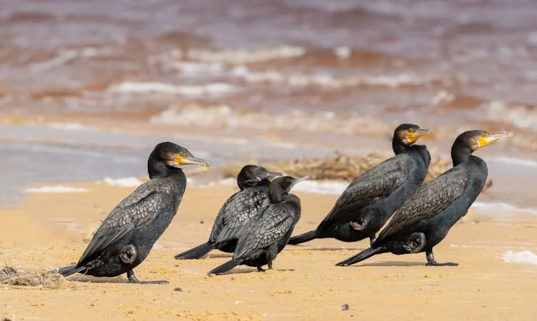 Amikor minden elveszni látszik – Egy férj vallomása a kórházi ágy mellett