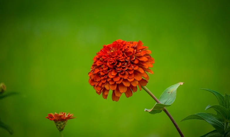 Az ár, amit a lelkiismeretemért fizettem – Egy orvos vallomása