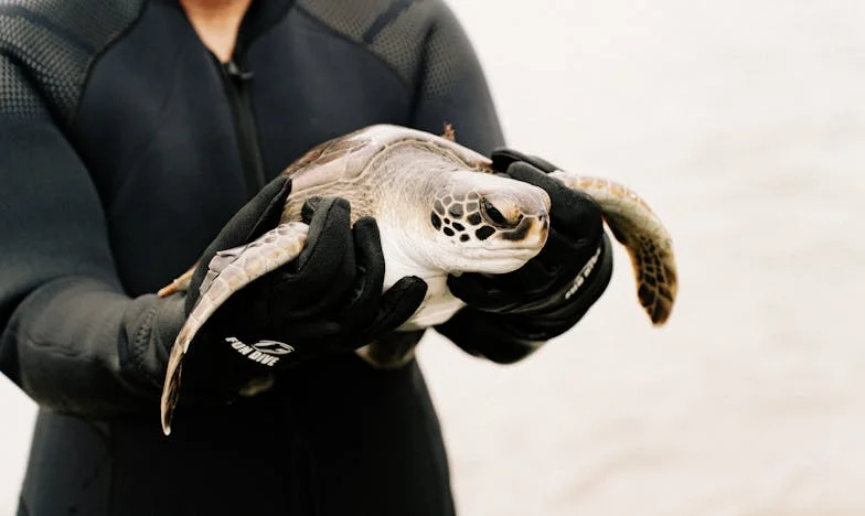 Az igazság terhe: Egy magyar fiú titkos származásának története