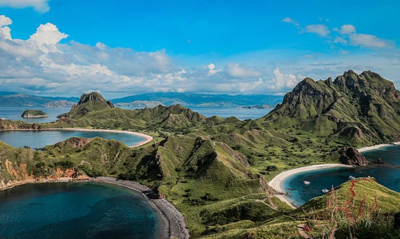 Az utolsó hajnal Zsófikával: Egy anya szíve a végsőkig