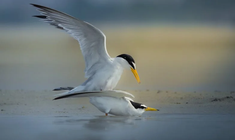 Döntés a panelrengetegben – Kinga története a válásról