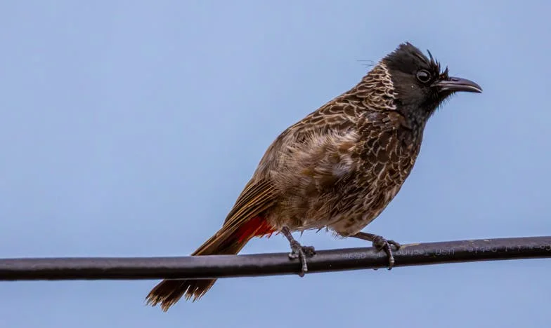 Egy év anyámmal – Meddig tartozunk egymásnak?