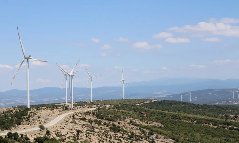 Egy év nélküle: Amikor a fiam hátat fordított nekem és elvette tőlem az unokámat