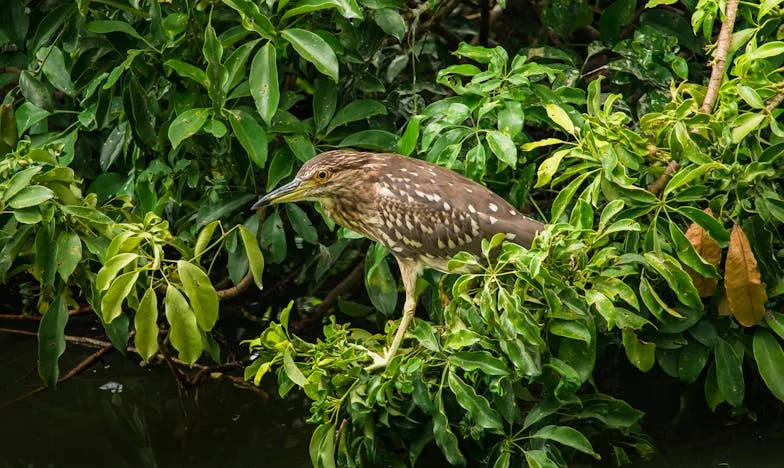 Egy Tető Alatt: Történet Kapzsiságról, Családról és Megbocsátásról