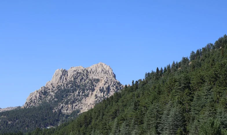 Egyedülálló apa a szakadék szélén: Az éjszaka, amikor minden megváltozott