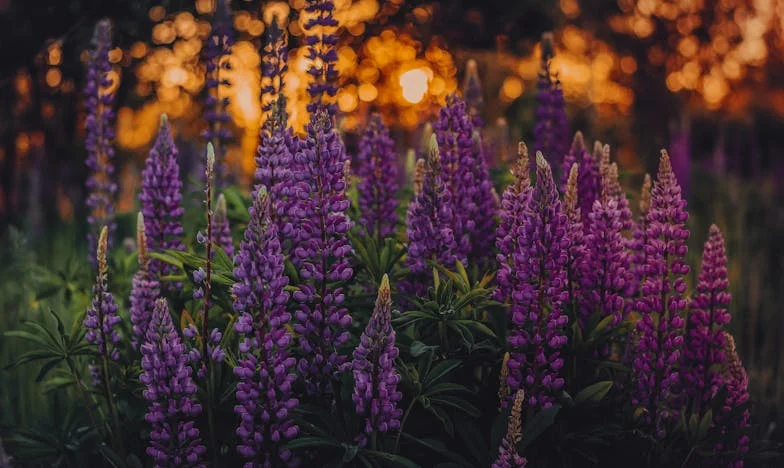 Elengedni a boldogságot: Egy anya vallomása a válásról a gyermek születése után