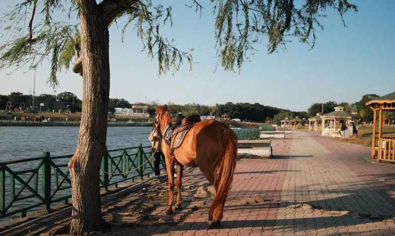 Két hét csend után – Egy anyós vallomása