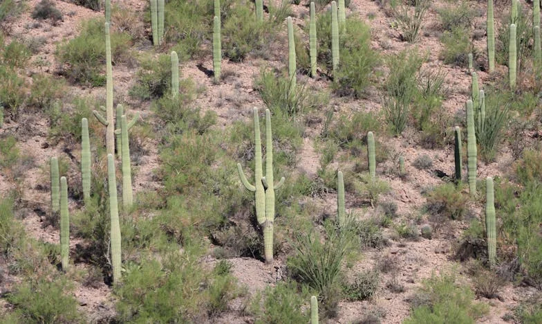 Ki lopta el az életem? Egy válás utáni ébredés története
