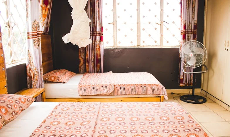 Miért Csak Virsli Van az Asztalon? – Egy Üres Fészek Drámája