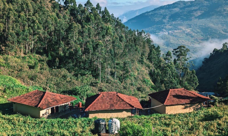 Miért nem jön már a nagymama? Egy családi csend története