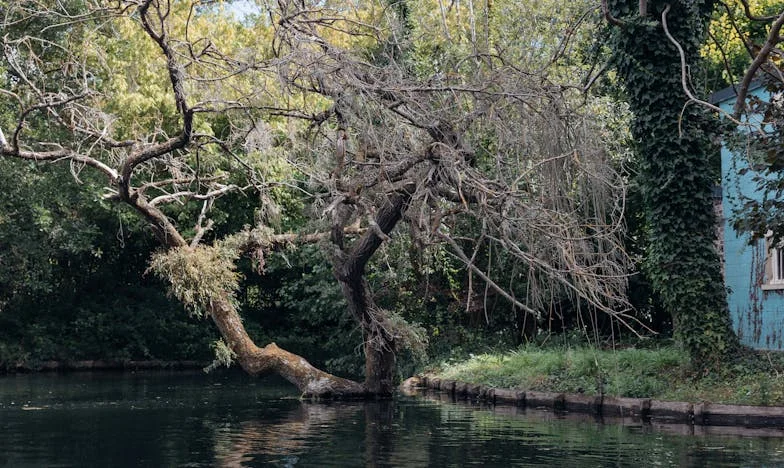 Miért nem kellenek nekünk ilyen szülők? Egy lakás, egy család és a büszkeség ára