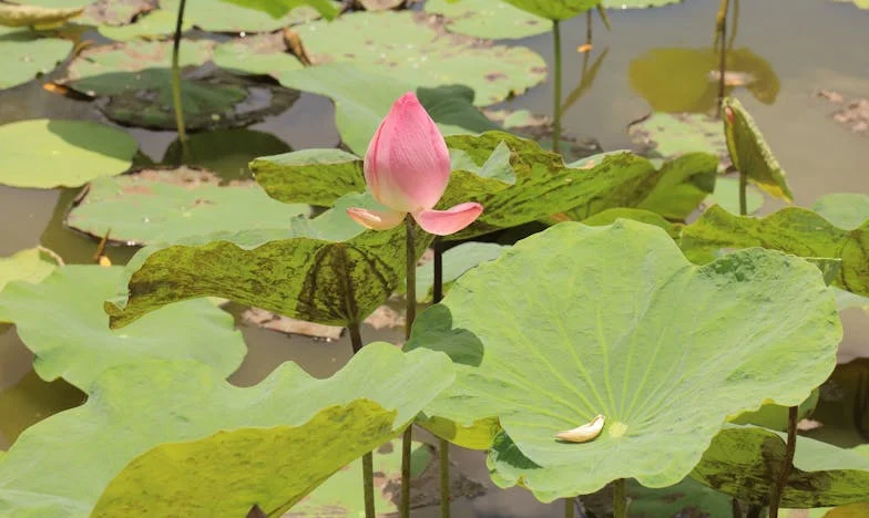 Öt perc, ami mindent megváltoztatott – Egy családi délután krónikája