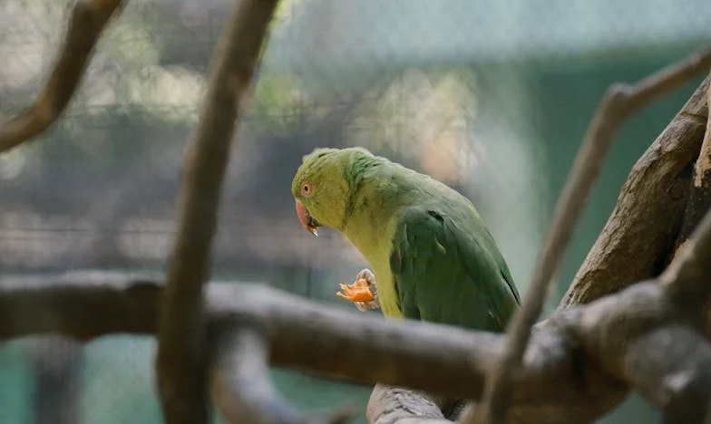 Szeretet vagy hűség? Amikor a férjem megszakította a kapcsolatot a családommal