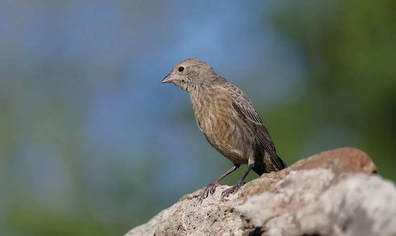 Titkos vér a családomban: Egy igazság, amely mindent megváltoztatott