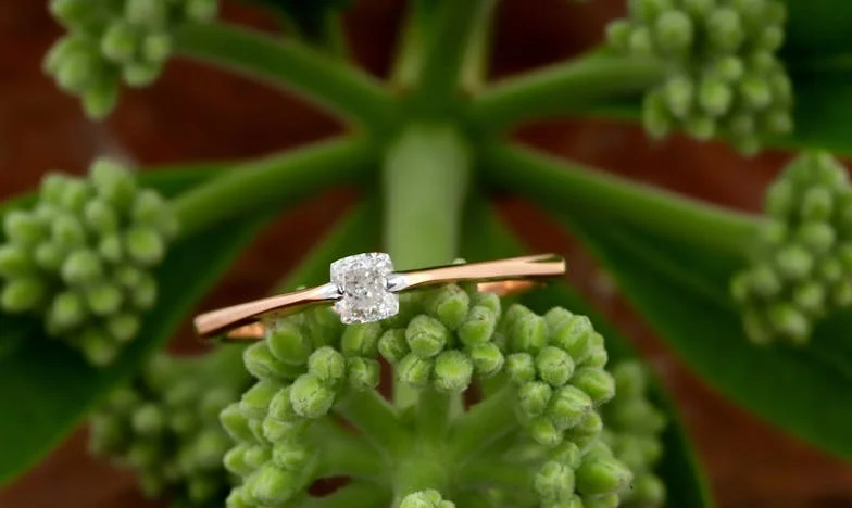 Titokban kötött házasság: Egy fiú vallomása a családi drámáról