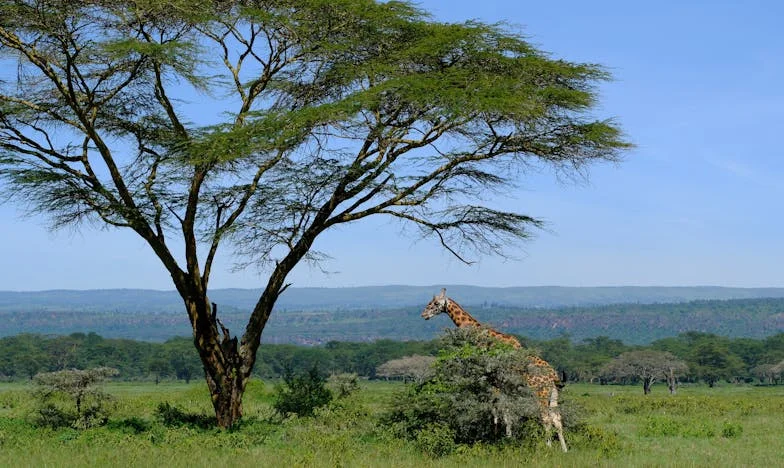 Zárt ajtók mögött: Egy harmincéves házasság vége és az újrakezdés fájdalma