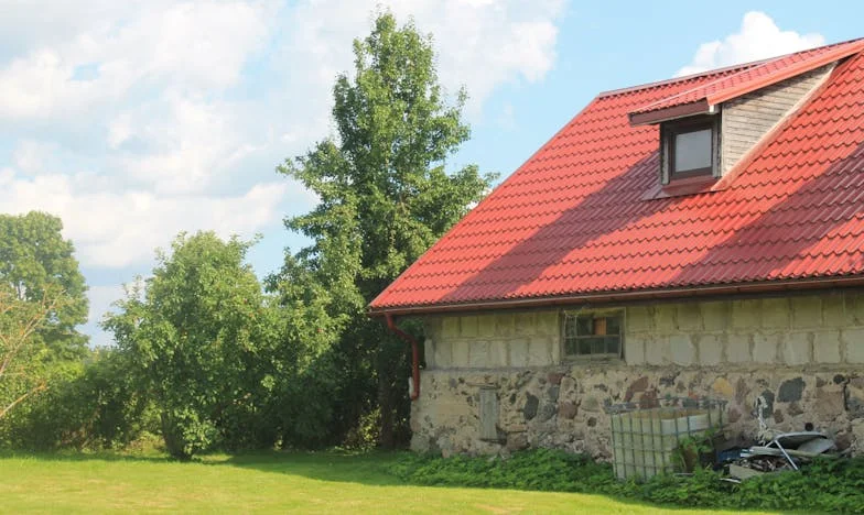 Zöld a Sárga Iránt: Az Apai Szeretet Hiánya Nővérem Esküvőjén