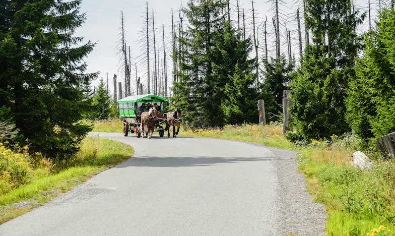 Amikor a falak leomlanak: Egy család titkai és a megbocsátás útja