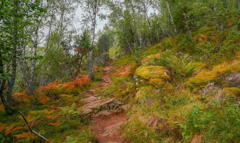 Amikor a nagypapám elfelejtett minket: Egy elveszett család története