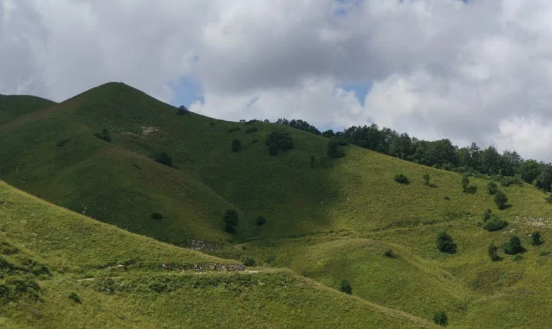 Amikor a szerelem nem ismer határokat: Egy döntés, amely szétszakította a családomat