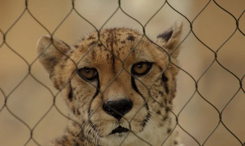 Amikor a szerepek megfordulnak: Egy apai GYES, ami mindent megváltoztatott