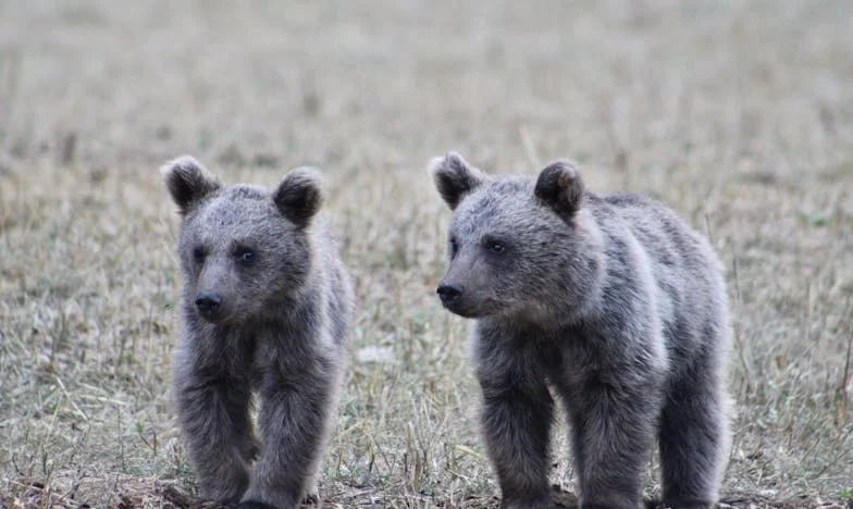 Amikor a szeretet fáj: Harminc év házasság árnyékában