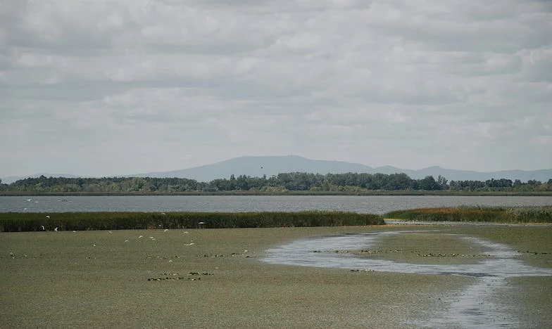 Amikor Anyósom Újra Férjhez Menne – Egy Család Széthullása Küszöbén