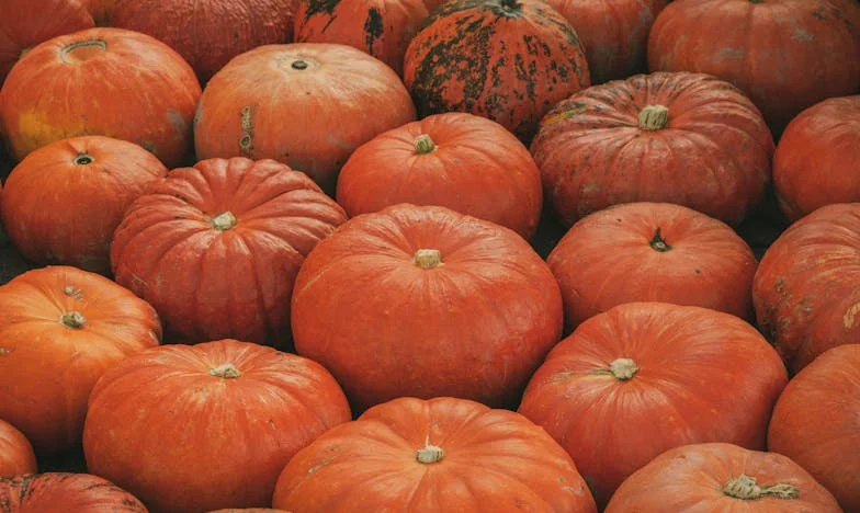 Amikor apa elment: Az éjszaka, ami mindent megváltoztatott