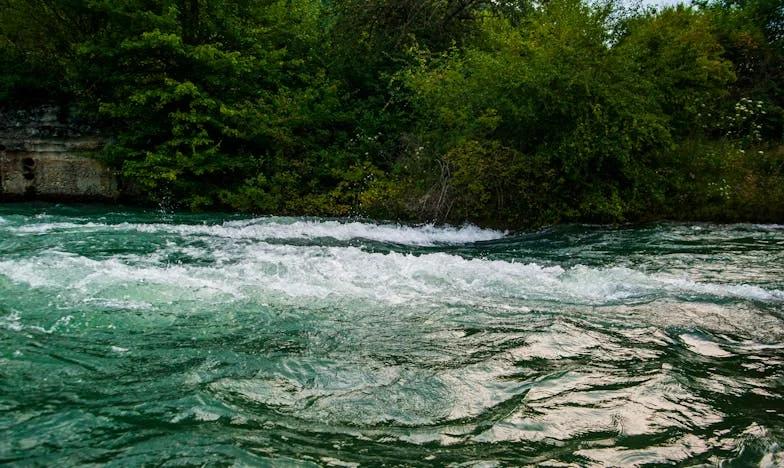 Amikor az anyós dönt helyettünk: Egy határhúzás története a magyar valóságban