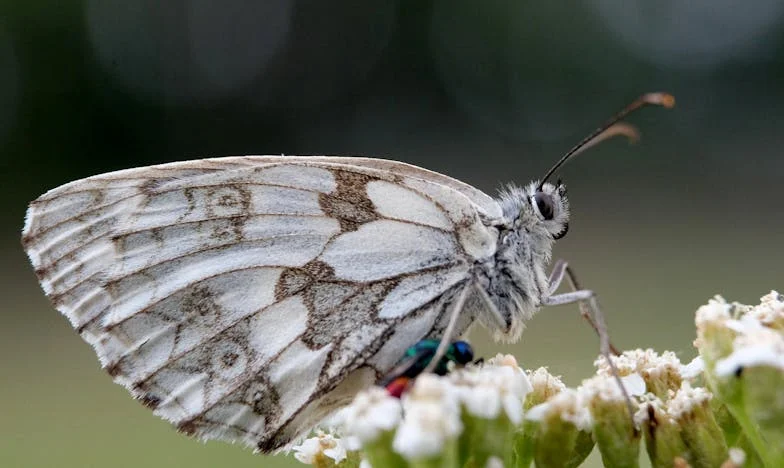 „Annyi gyereket vállalok, amennyit akarok!” – Egy család széthullásának története